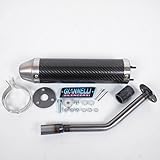 Giannelli - Silenziatore di scarico per Moto Beta 50 RR Enduro Standard 2009-2011, Codice dell’Articolo: 34688HF C