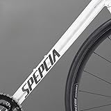 per bici da strada Allez Specialized | Adesivi con logo del telaio che cambiano colore, resistenti ai raggi UV, taglio di precisione, colori multipli (nero opaco)