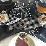 labelbike - Adesivo in Resina 3D Decorazione e Protezione di Moto Piastra Forcella compatibile con YAMAHA R6 2006-2016
