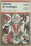 atlante di zoologia