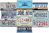 - Lotto di 10 TARGHE Auto USA in Metallo - repliche di targhe Real American (V1)