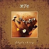 Skylarking (Corrected Polarity Edt.)