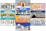 - Lotto di 10 TARGHE Auto USA in Metallo - repliche di Vere targhe Americane dei più Famosi Stati Americani - Mad