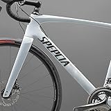 Per bici da strada Specialized Roubaix SL8 | Adesivi con logo del telaio che cambiano colore, resistenti ai raggi UV, taglio di precisione, diversi colori (nero opaco)
