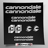 Kit adesivi compatibile con telaio MTB Mountainbike e casco | decals sticker Decalcomanie bici scritte loghi | Stickersland® - Cannondal V2 (Argento Lucido Metallizzato)