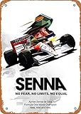 Wanfst Targa in metallo dall'aspetto vintage – Formula 1 Ayrton Senna Low Poly – 20,3 x 30,5 cm