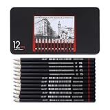 NyxSeat Set di 12 matite, diversi gradi di durezza 2H H F HB B 2B 3B 4B 5B 6B 7B 8B, matite da disegno per bambini, adulti, artisti, principianti (nero)