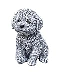 Statuetta di pietra maltese Havanese cucciolo, resistente al gelo e agli agenti atmosferici fino a -30°C, in pietra massiccia