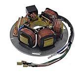 RMS Statore vespa px 125-150 (Statori) / Stator assy vespa px 125-150-200 (Stators)