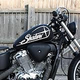 Adesivi Stickers Stella da serbatoio moto custom Tank fuel compatibili con Honda Shadow VT 600 750 1100 (Argento Silver)