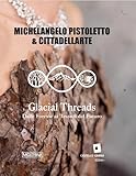 Michelangelo Pistoletto. Glacial threads. Dalle foreste ai tessuti del futuro. Ediz. italiana, inglese e francese