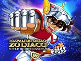 I Cavalieri dello Zodiaco (Saint Seiya)