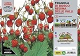 Orto Mio Piantine di Ortaggi in pack cubettato per la produzione famigliare disponibili in molte tipologie e varietà (Fragola di Bosco 6 piante)