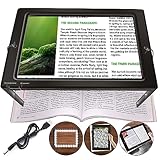 Lente d'ingrandimento a mani libere con luce, 4X grande lente lente d'ingrandimento 50 LED illuminato ingranditore illuminato per anziani con degenerazione maculare, lettura adulti con hobby e bambini