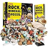 XXTOYS - Kit di pietre e minerali da collezione - 250 geodi e fossili naturali - Consegnato con vetrina e custodia - 6 7 8 9 10 anni