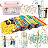 Purpledi Costruzione Giocattolo Bambini Kit, Set Fai da Te per Bambini, Giocattolo educativo Creativo per Ragazzi e Ragazze, Super Regalo (500PCS)