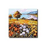 Kit Mezzo Punto Completo di Tela e Filati Paesaggi Vari Mis 30x30cm (733)