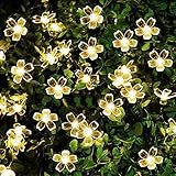 JZK 6.5m Impermeabile catena luminosa led solare da esterno interno fiore stringa lucine luci a LED bianco caldo per decorazione giardino natale matrimonio