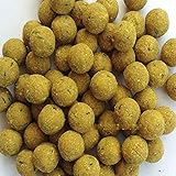 Boilies Pesca Carpfishing Aroma Formaggio Esca Pesca Carpa Storione Innesco
