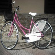 bicicletta donna salerno usato