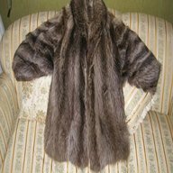 pelliccia marmotta argentata usato