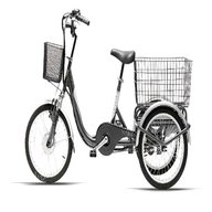 triciclo adulti campania usato
