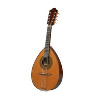 mandolino strumenti usato