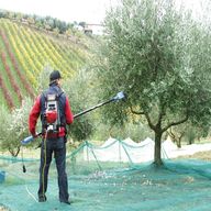 abbacchiatore per raccolta olive usato