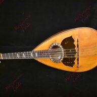 vinaccia mandolino usato