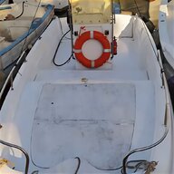 barca tripesce usato