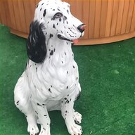 breton cane da caccia usato