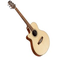 chitarra acustica takamine usato