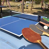 ping pong esterno usato