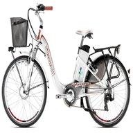 bicicletta elettrica bottecchia usato
