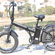 bici elettrica litio usato