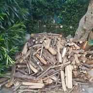 legna ardere quintale pisa usato