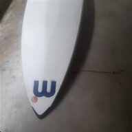windsurf mistral usato
