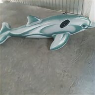 delfino usato