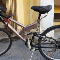 girardengo bicicletta usato