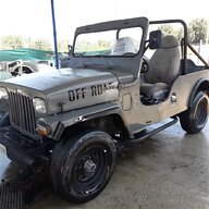 jeep willys usato