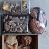 minerali fossili usato