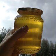 olio colza usato