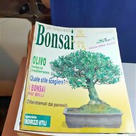 bonsai italiano usato