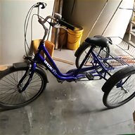 triciclo adulti bicicletta ruote usato