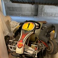 gokart racing in vendita usato