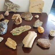 fossili minerali usato