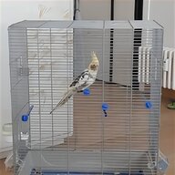gabbie per pappagalli inseparabili usato