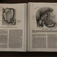 trattato anatomia umana anastasi usato