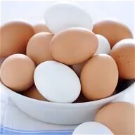 uova fecondate usato