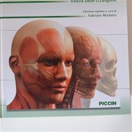 anatomia umana usato